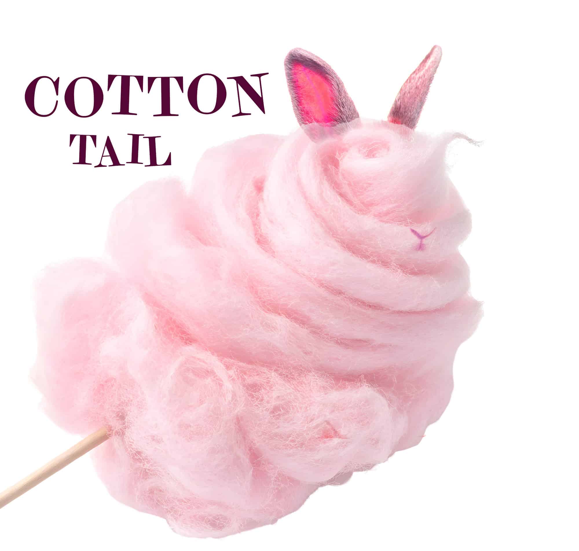 Cotton Tail